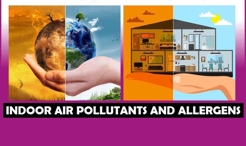 indoor air pollutants and allergens
